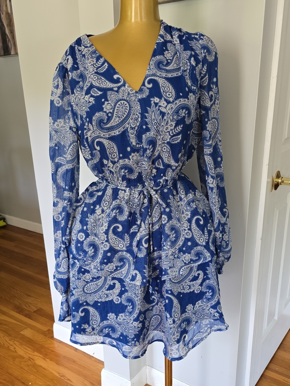 Blue Paisley V-Neck Long Sleeve Tie-Waist Dress